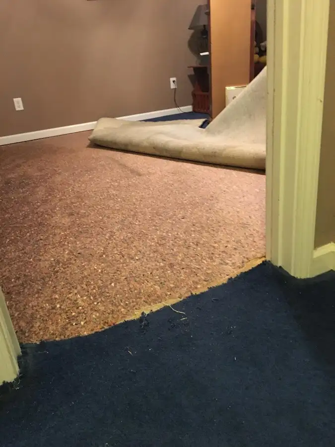 Carpet pad removal revealing water damage during Drying & Dehumidification in Lutz