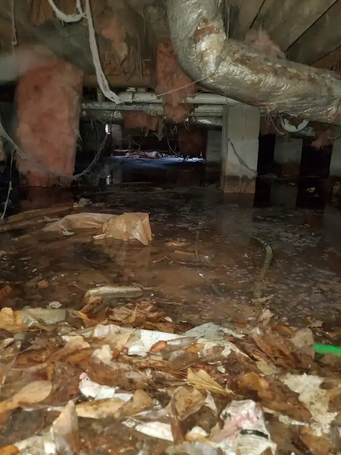 Crawl space flood assessment for Commercial Water Damage Restoration in Lutz