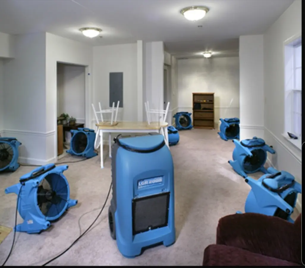 Air movers and dehumidifier setup for Water Extraction & Removal in Lutz