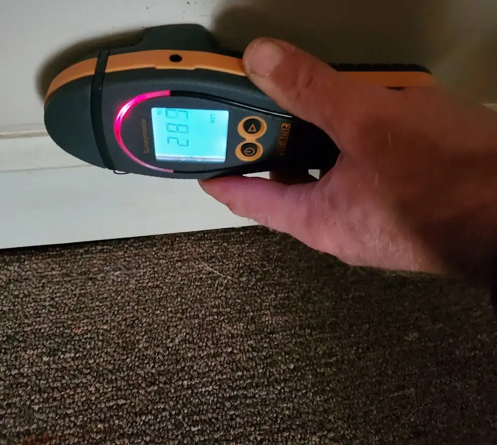 Moisture detection at baseboard during Mold Inspection & Testing in Lutz